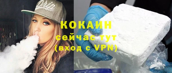 кокс Алексин