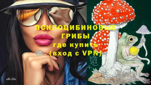 кокс Алексин