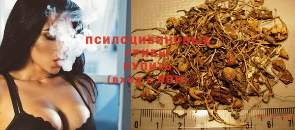 сатива Алексеевка