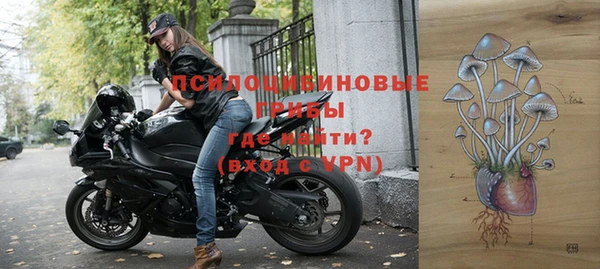 сатива Алексеевка