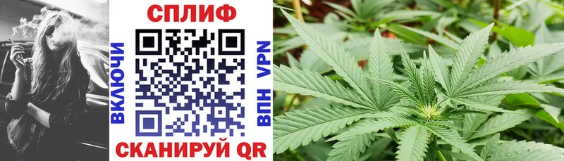 Канабис MAZAR Купить закладки Валдай